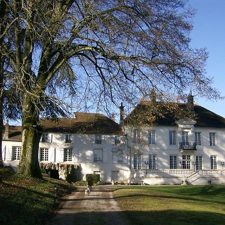 Le Chateau De Prauthoy Kültér fotó