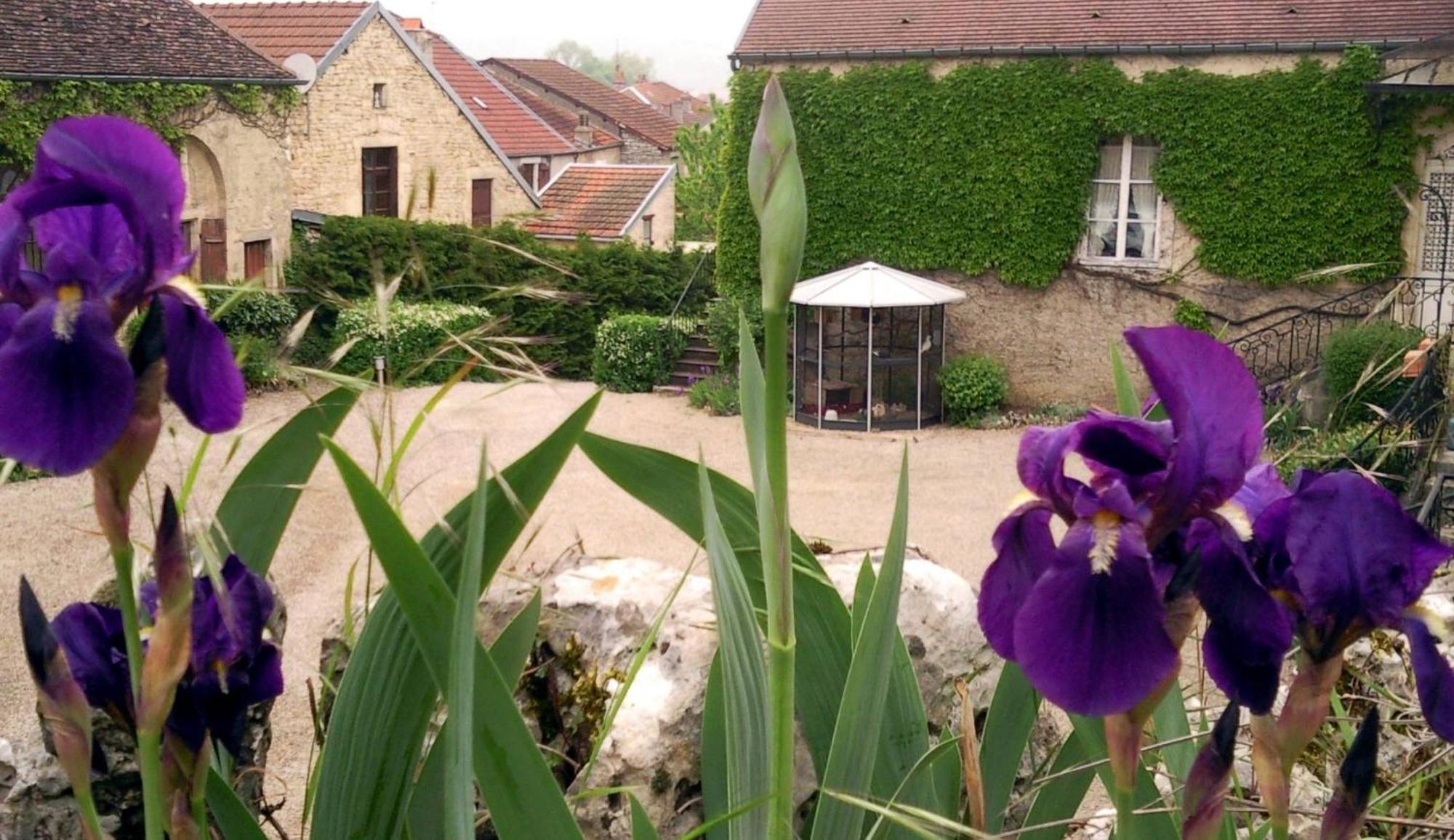 Le Chateau De Prauthoy Kültér fotó