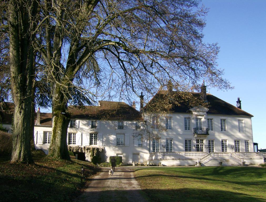 Le Chateau De Prauthoy Kültér fotó